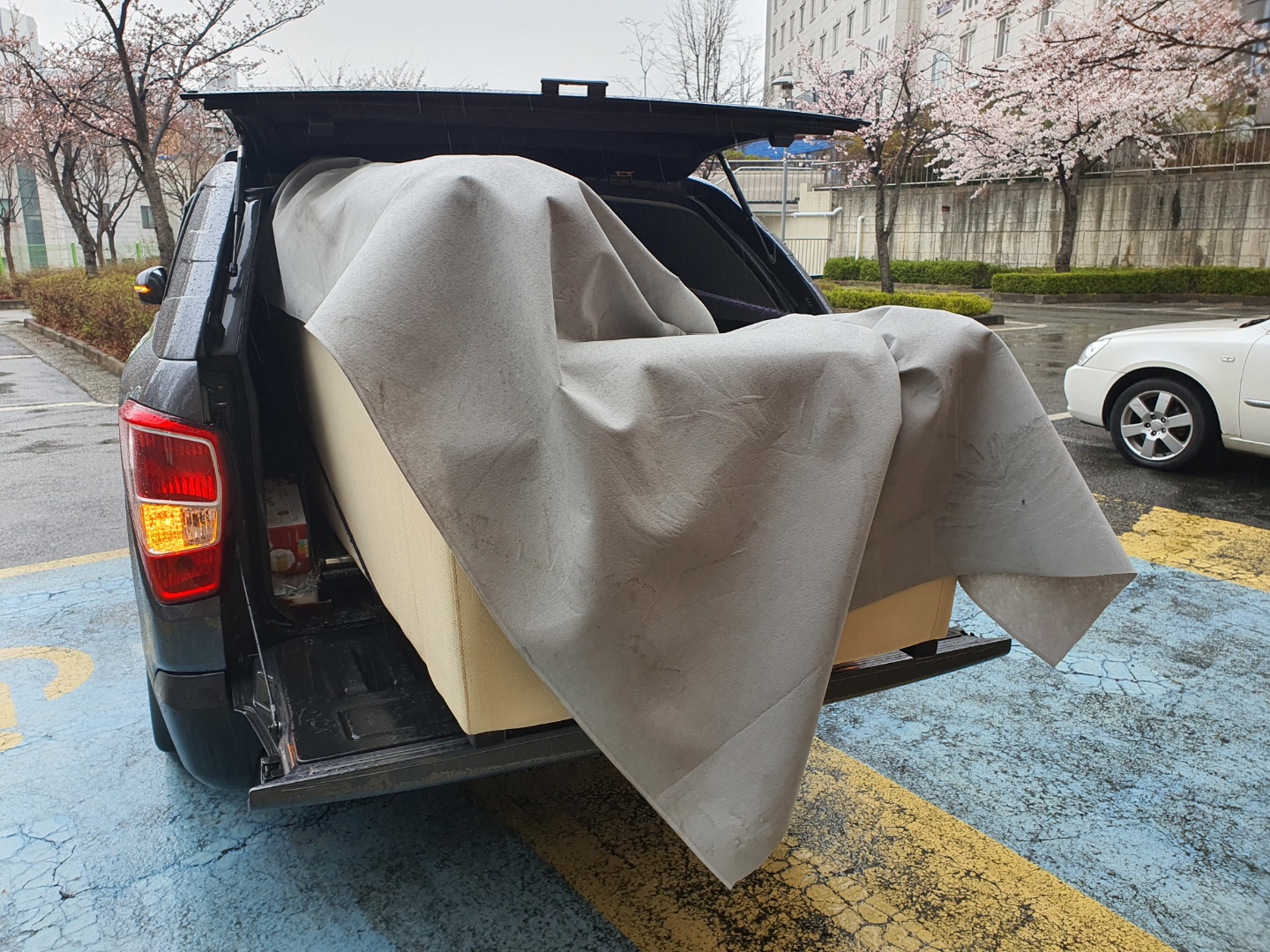 1785037113_1SKtfybN_8bbffb8cdae0d29eb1f9954c9f5e3218084a27e2.jpg 이미지크게보기