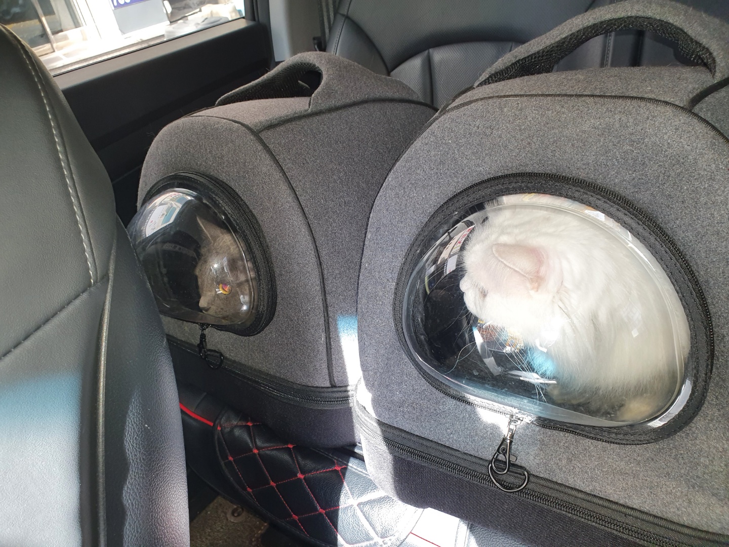 /user/0/01056546596/editor/2203/727e02aa6a8e84d933b8f1f14d36080c_1647414042_0195.jpg 이미지크게보기